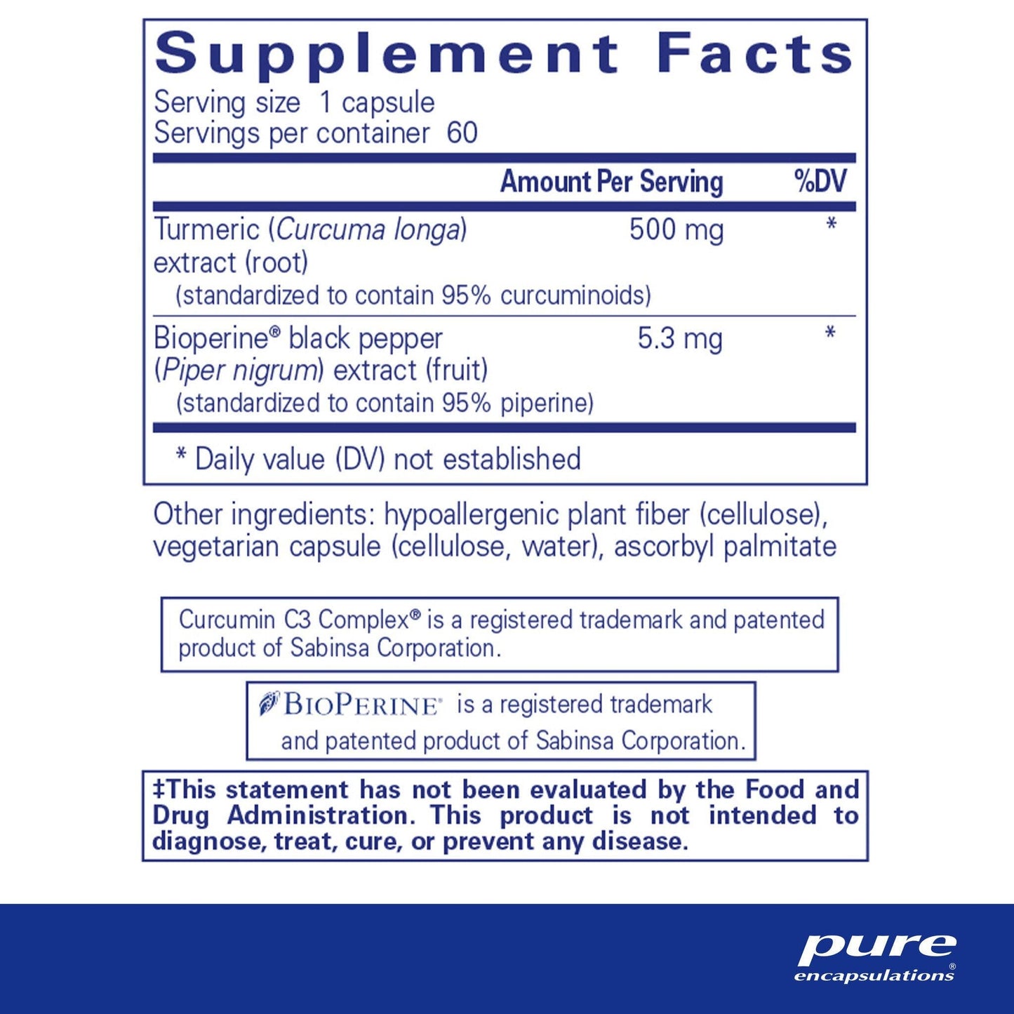 08 - Curcumin 500 W/Bioperine - 60 Tabs
